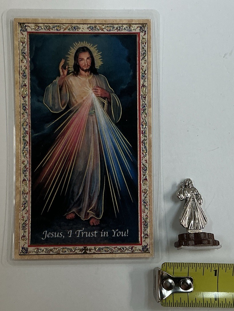 The Chaplet Of The Divine Mercy And Holy Card,Healing,Prayer,Blessing In English