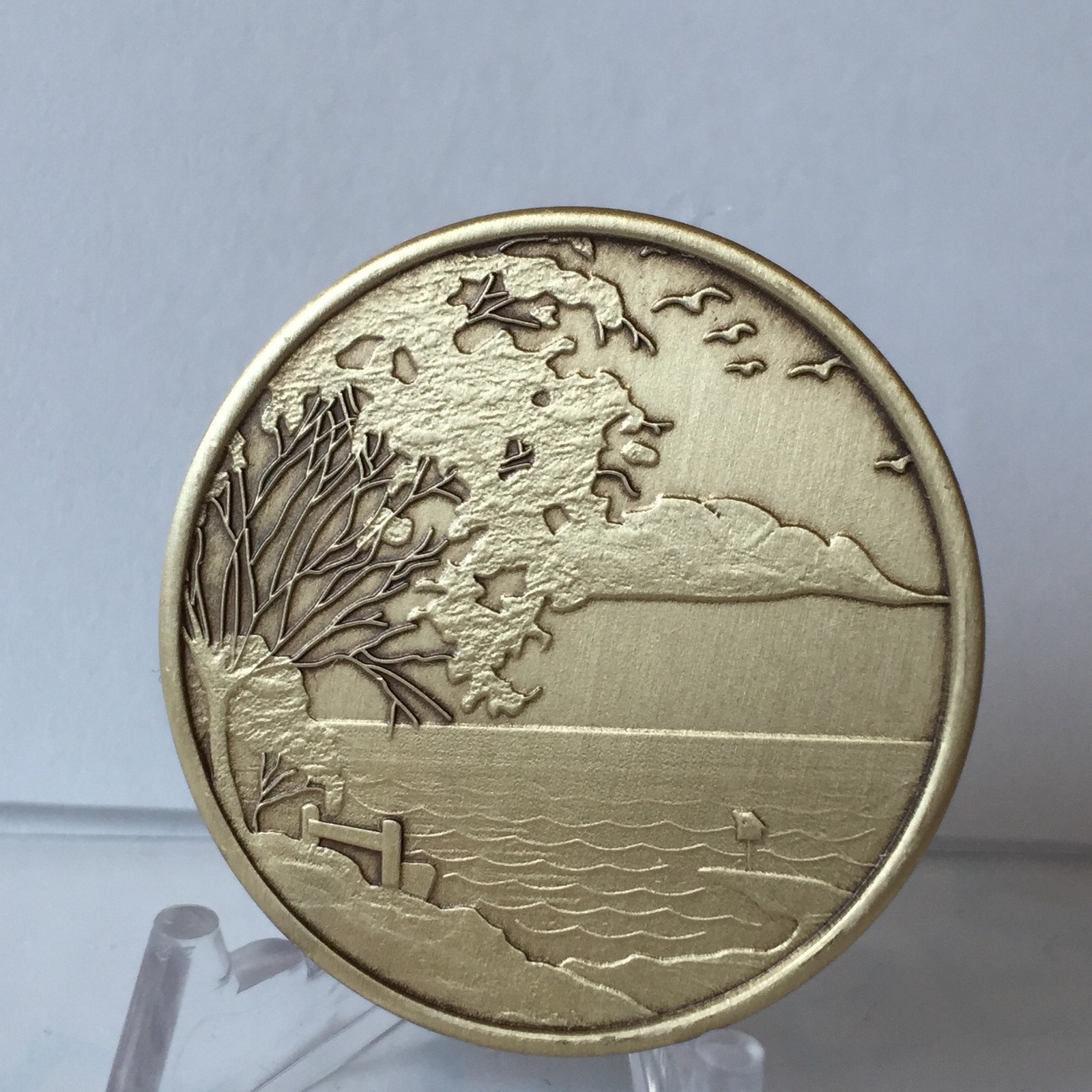 Bulk Lot of 25 Serenity Lake Peace Within The Storm Bronze Medallions Chip Wh…