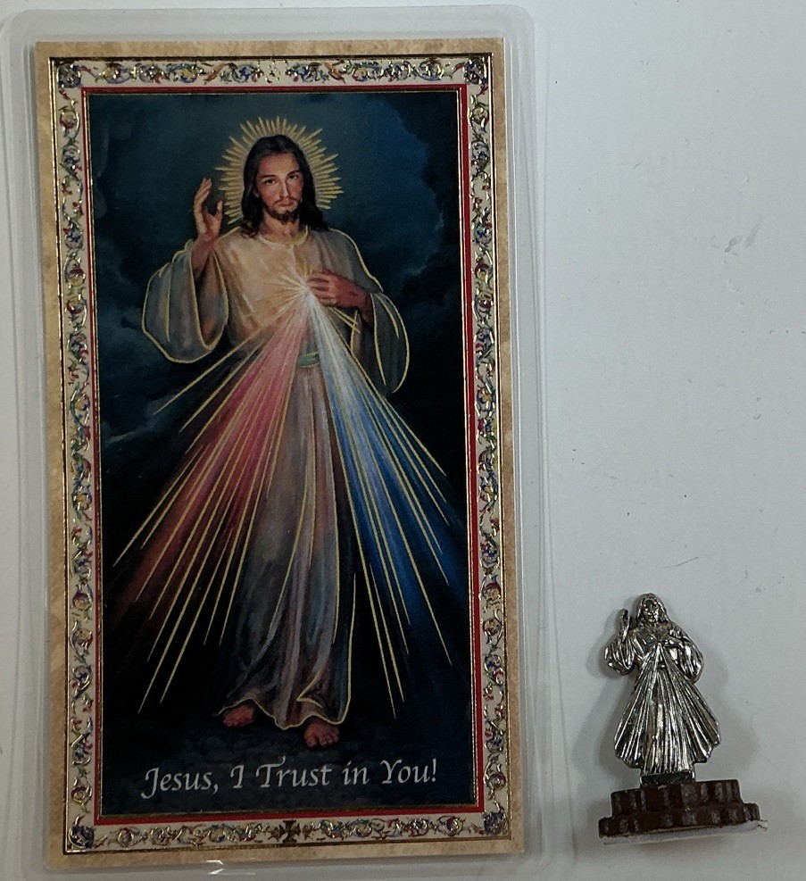 The Chaplet Of The Divine Mercy And Holy Card,Healing,Prayer,Blessing In English