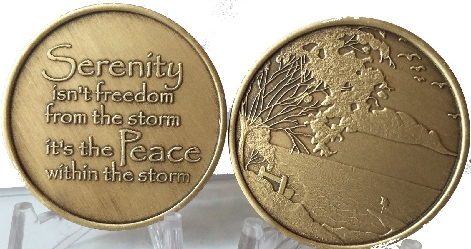 Bulk Lot of 25 Serenity Lake Peace Within The Storm Bronze Medallions Chip Wh…