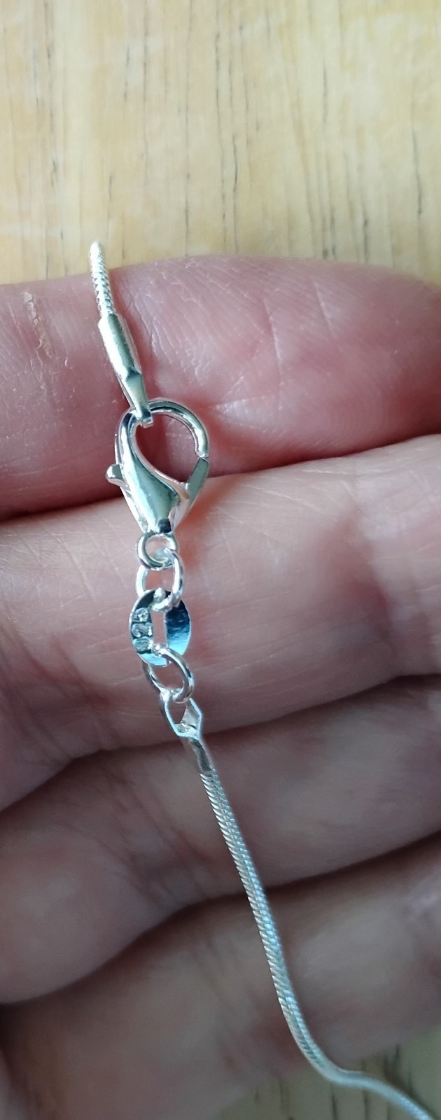 Silver Jesus Divine Mercy Medal 925 sterling chain necklace + prayer card